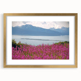 Botanical wall art featuring a vibrant fireweed design in a gold frame with a mat, showcasing intricate floral details against a soft background, perfect for home decor.