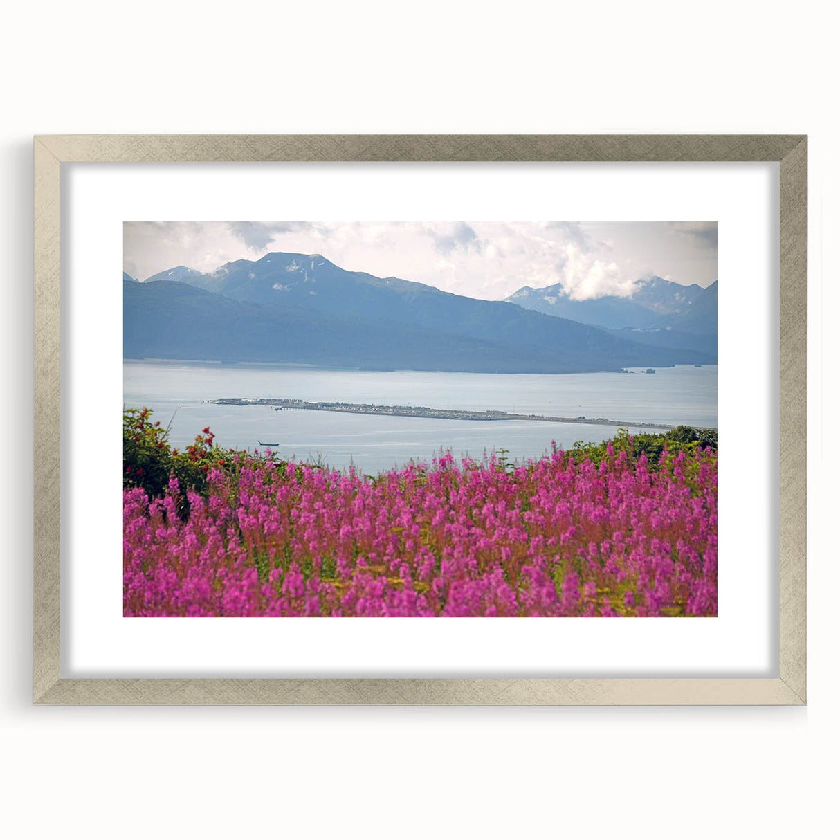 Elegant silver-framed botanical wall art featuring a vibrant fireweed design, ideal for home decor. The mat enhances the artwork's details and colors, perfect for nature lovers.