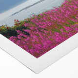 Vibrant rolled canvas artwork showcasing a botanical fireweed design, featuring intricate floral details and rich colors, perfect for home decor.