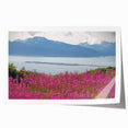 Botanical wall art print showcasing vibrant fireweed flowers in a lush green setting, rolled for easy transport and framed display, perfect for nature enthusiasts.