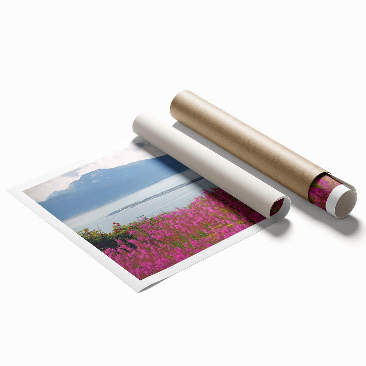 Vibrant botanical wall art print showcasing delicate fireweed flowers on a soft cream background, elegantly rolled for easy framing and display. Ideal for nature lovers.
