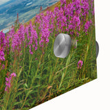 Close-up of vibrant fireweed botanical wall art design printed on acrylic glass, showcasing intricate details and colors, perfect for home decor enhancement.
