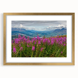 Botanical wall art featuring a vibrant fireweed design in a sleek gold frame with matting, perfect for enhancing home decor and adding a touch of nature.