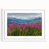Botanical wall art featuring vibrant fireweed flowers in a modern white frame with a mat, perfect for enhancing home decor with natural elegance.
