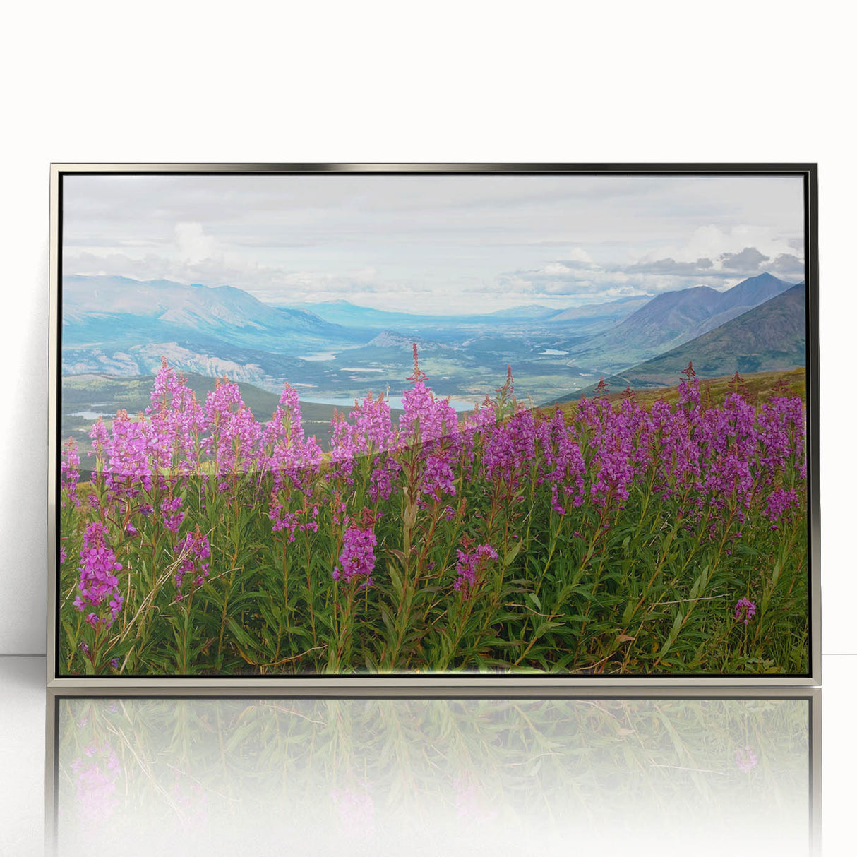 Framed wall art featuring a vibrant botanical fireweed design, showcasing detailed floral patterns in rich colors, set in a sleek silver frame for modern decor.