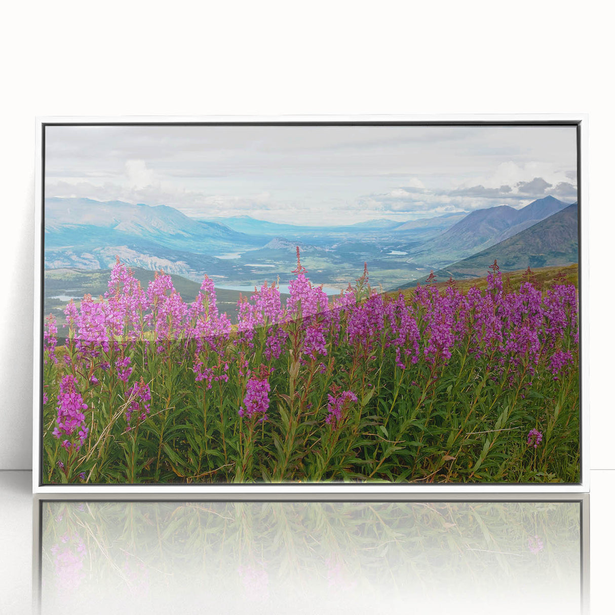 Framed wall art featuring a botanical fireweed design in vibrant colors, set against a white background, perfect for home decor in modern interiors.
