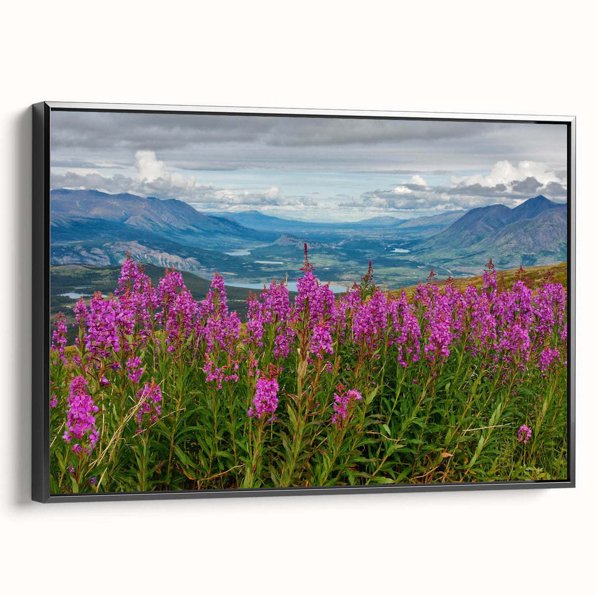 Framed canvas wall art showcasing a vibrant botanical fireweed design, featuring intricate floral details and a sleek black frame, perfect for home decor.