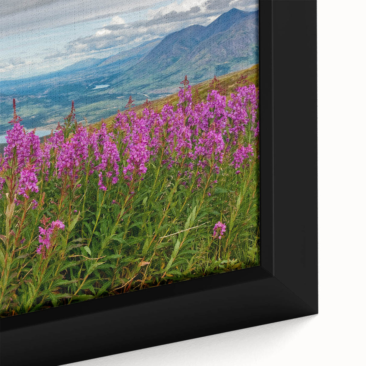 Close-up of a vibrant framed canvas wall art piece showcasing a botanical fireweed design, featuring intricate floral details and rich colors, perfect for nature enthusiasts.