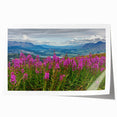 Vibrant botanical wall art print showcasing delicate fireweed flowers in a colorful design, rolled and ready for framing, perfect for nature-inspired decor.