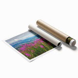 Vibrant botanical wall art print featuring delicate pink fireweed flowers on a white background, rolled and ready for framing, perfect for home decor enthusiasts.