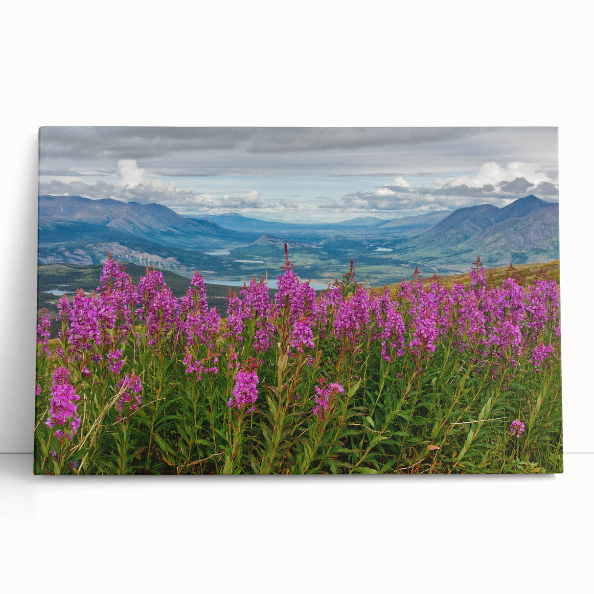 Vibrant botanical wall art featuring a fireweed design on stretched canvas, showcasing rich colors with a modern aesthetic, perfect for home decor enhancement.