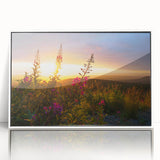 Framed wall art showcasing a vibrant botanical fireweed design, featuring a white frame and acrylic finish, perfect for enhancing home decor with nature-inspired aesthetics.