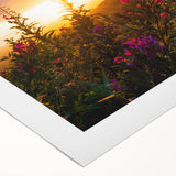 Botanical wall art print showcasing vibrant fireweed flowers on a rolled canvas, perfect for adding a touch of nature-inspired decor to any space. The design features rich colors and intricate details, ideal for art enthusiasts and nature lovers.