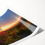 Botanical wall art print showcasing vibrant fireweed flowers in shades of pink and green, rolled for easy framing and display, perfect for nature-inspired decor.