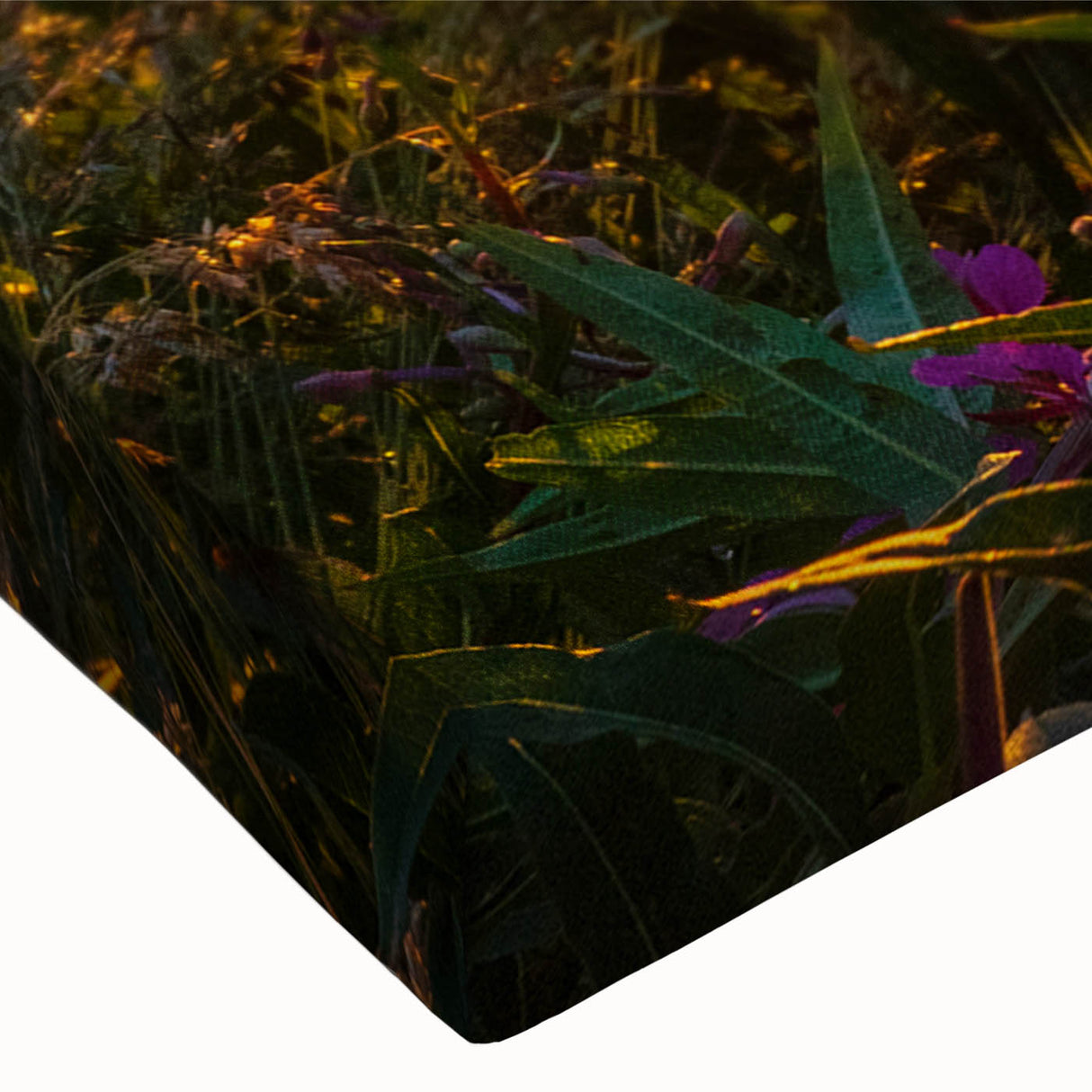 Close-up of a vibrant fireweed botanical wall art design on stretched canvas, showcasing intricate floral details and rich colors, perfect for home decor.