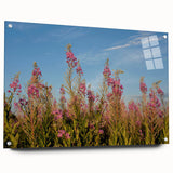 Vibrant fireweed botanical wall art collection displayed in a sleek acrylic glass frame, showcasing colorful floral design with decorative pins, perfect for home decor.