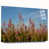 Botanical wall art featuring a vibrant fireweed design, displayed in a sleek acrylic glass frame, showcasing intricate details and vivid colors from a side view. Perfect for enhancing modern decor.