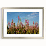 Botanical wall art featuring a detailed fireweed design in a silver frame with matting, showcasing vibrant colors and intricate floral details, perfect for home decor.