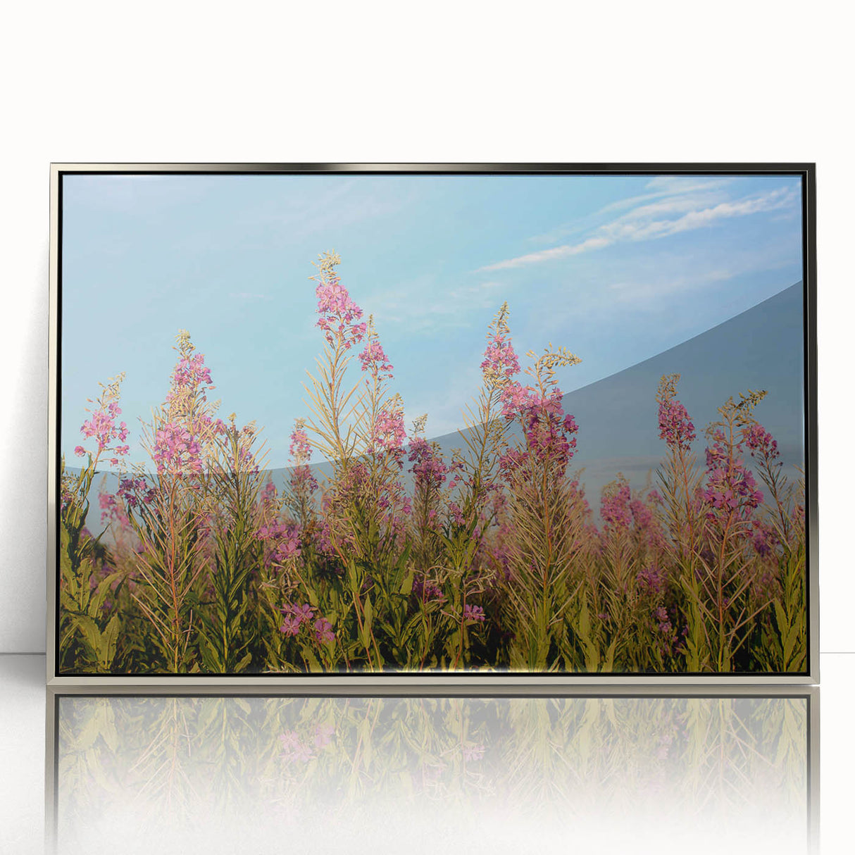 Framed wall art featuring a botanical fireweed design in vibrant colors, set in an elegant silver frame, perfect for enhancing home decor with a natural theme.