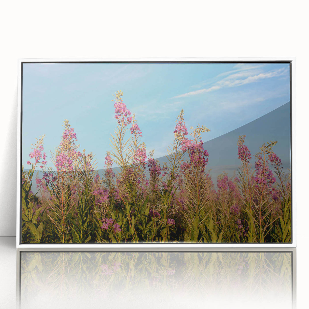Framed botanical wall art featuring vibrant fireweed design in a white frame, perfect for adding a pop of color to home decor. Ideal for nature enthusiasts.