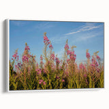 Framed canvas wall art featuring a botanical fireweed design, showcasing vibrant colors and intricate details, presented in a white frame for a modern touch.