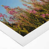 Vibrant botanical wall art featuring a fireweed design on rolled canvas, showcasing rich colors and intricate details, perfect for home decor or gifting.