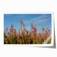 Botanical wall art print showcasing vibrant fireweed flowers in a delicate design, rolled for easy shipping and display, perfect for enhancing home decor.