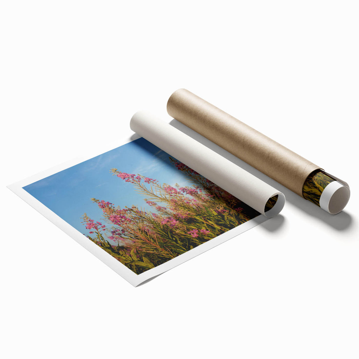 Vibrant botanical wall art print showcasing delicate fireweed flowers in shades of pink and green, rolled and ready for framing, perfect for home decor enthusiasts.