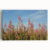 Colorful botanical wall art featuring a vibrant fireweed design on stretched canvas, ideal for home decor. Perfect for adding a natural touch to any space.