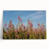 Vibrant botanical wall art design featuring fireweed flowers on stretched canvas, leaning against a textured wall, perfect for home decor and nature lovers.