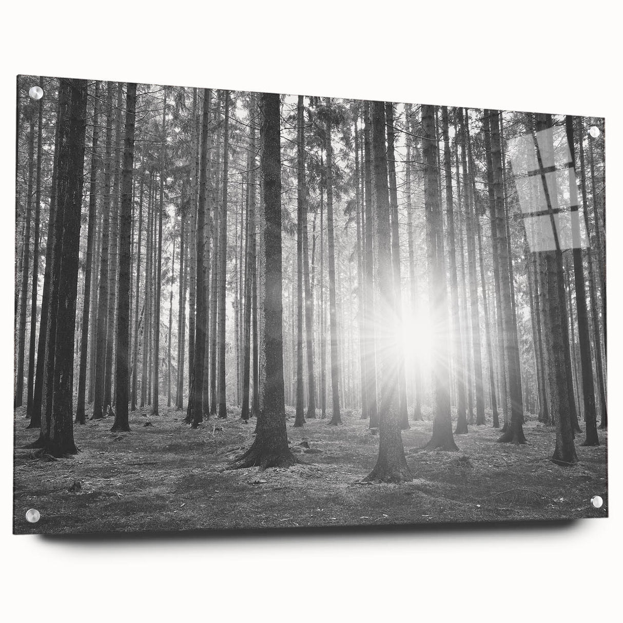 Acrylic glass wall art featuring a vibrant botanical forest design with colorful flowers and trees, displayed from a side view showcasing its sleek pins and modern aesthetic.