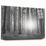 Acrylic glass wall art featuring a vibrant botanical forest design with colorful flowers and trees, displayed from a side view showcasing its sleek pins and modern aesthetic.