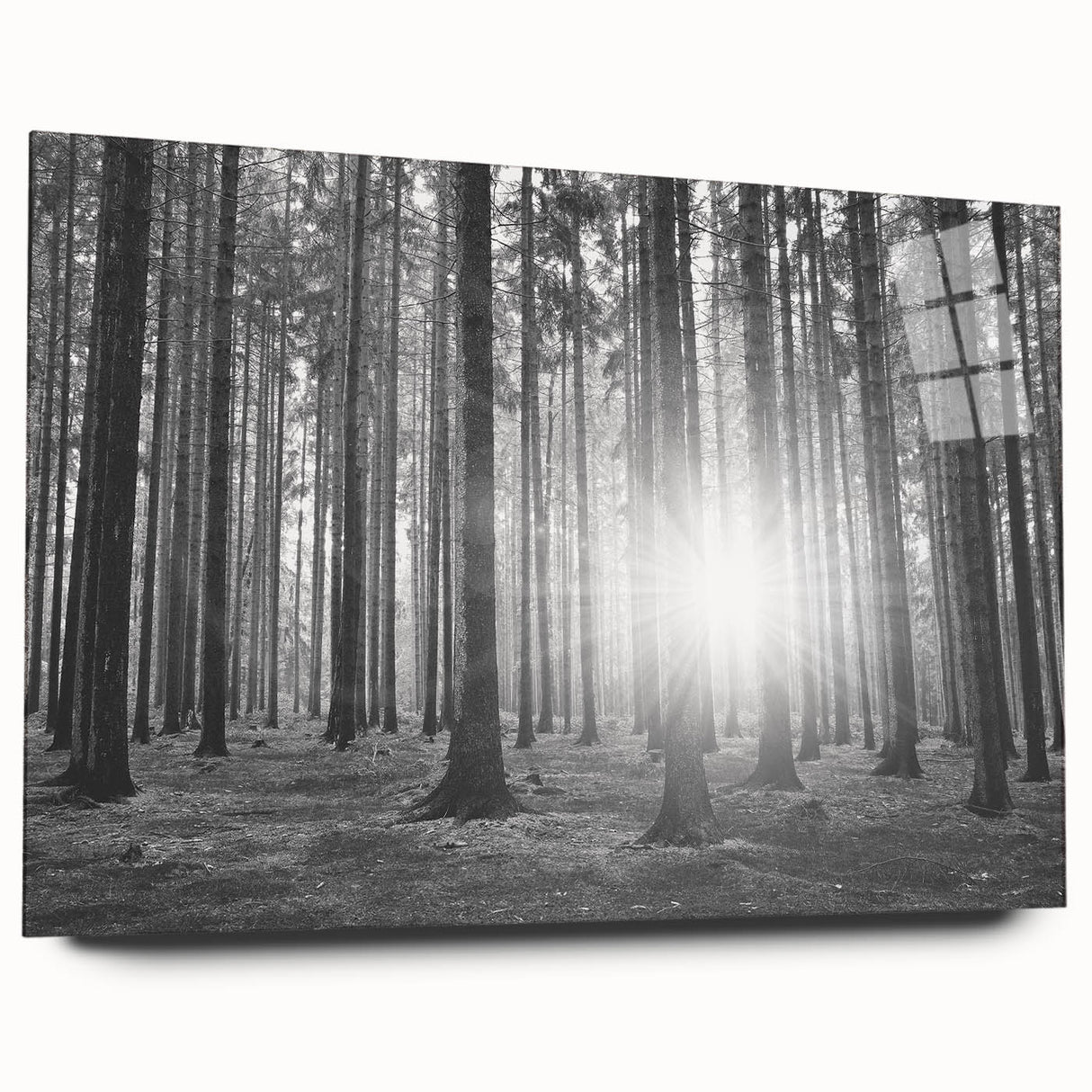 Acrylic glass wall art showcasing a botanical forest design with vibrant flowers and trees, elegantly displayed from the side, enhancing any decor with nature's beauty.