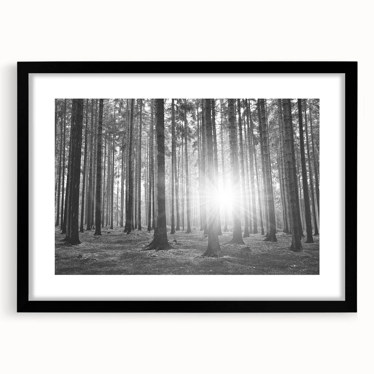 Framed botanical wall art featuring a lush forest design with colorful flowers and trees, presented with a black mat and sleek frame for an elegant display.