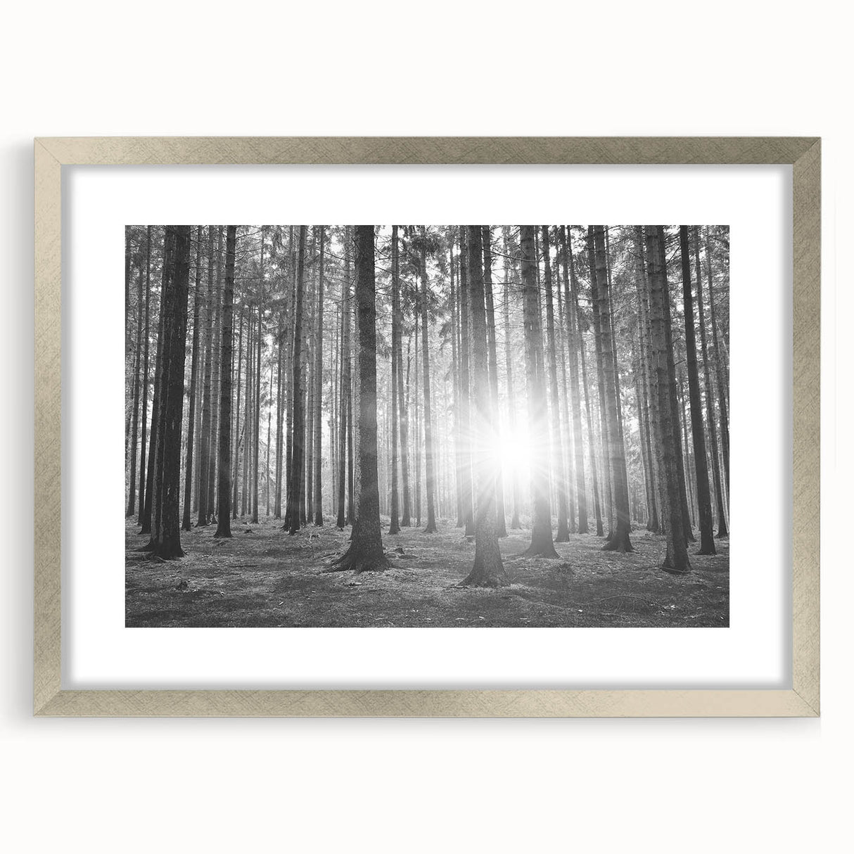 Framed botanical wall art featuring a vibrant design of forest trees and flowers, set in a sleek silver frame with a mat, enhancing any nature-themed decor.