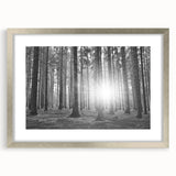 Framed botanical wall art featuring a vibrant design of forest trees and flowers, set in a sleek silver frame with a mat, enhancing any nature-themed decor.