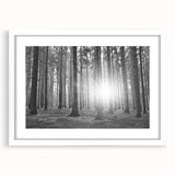 Botanical forest-themed wall art featuring vibrant green trees and floral designs, framed with a white mat for an elegant display, perfect for nature-inspired decor.