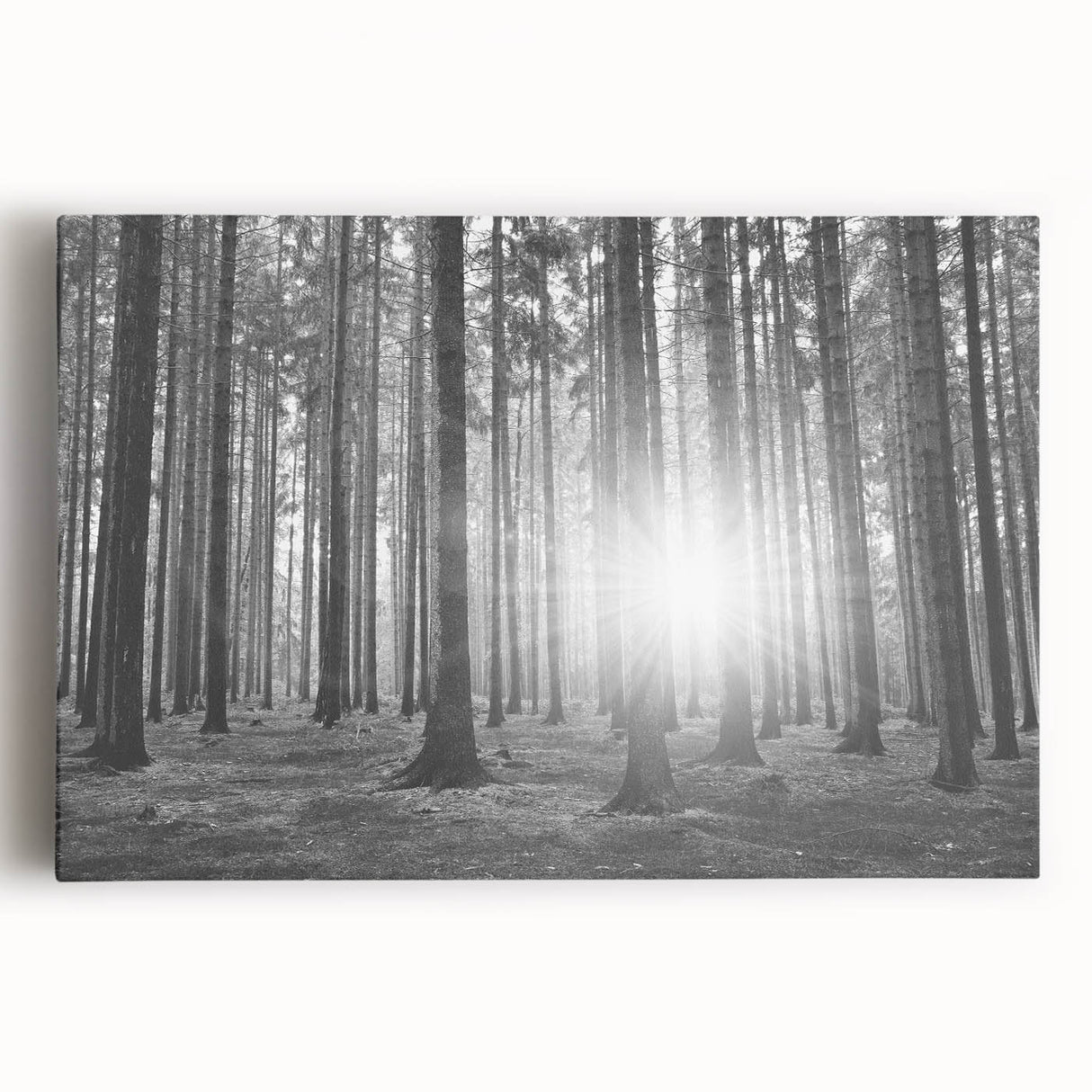 Botanical forest wall art featuring vibrant flowers and trees in a lush green setting, printed on stretched canvas, perfect for home decor.