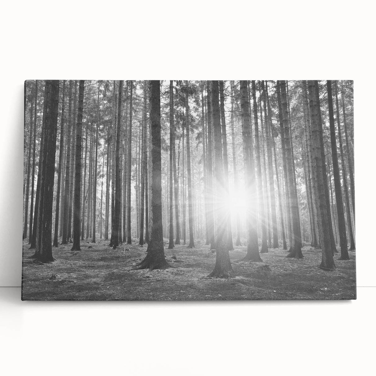 Stretched canvas wall art depicting a vibrant botanical forest scene with colorful flowers and trees, ideal for enhancing modern home decor and nature-themed spaces.