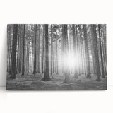 Stretched canvas wall art depicting a vibrant botanical forest scene with colorful flowers and trees, ideal for enhancing modern home decor and nature-themed spaces.