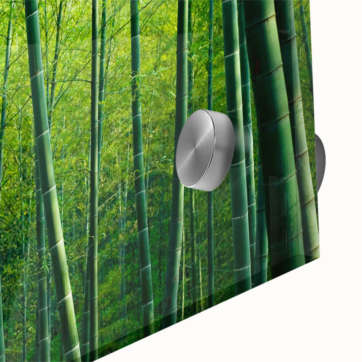 Close-up of a vibrant botanical wall art design showcasing intricate flowers and forest trees, printed on acrylic glass for a modern aesthetic, ideal for home decor. This piece adds a touch of nature-inspired elegance to any interior space.