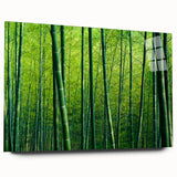 Acrylic wall art showcasing a vibrant botanical forest design with colorful trees, displayed in a side view to highlight its modern aesthetic and intricate details.