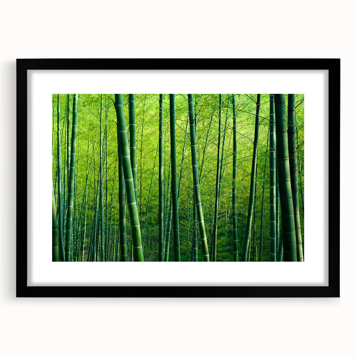 Framed wall art featuring a botanical forest design with vibrant flowers and trees, set in a sleek black frame, showcasing nature's beauty in a modern aesthetic. Ideal for enhancing home decor.