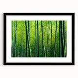 Framed wall art featuring a botanical forest design with vibrant flowers and trees, set in a sleek black frame, showcasing nature's beauty in a modern aesthetic. Ideal for enhancing home decor.