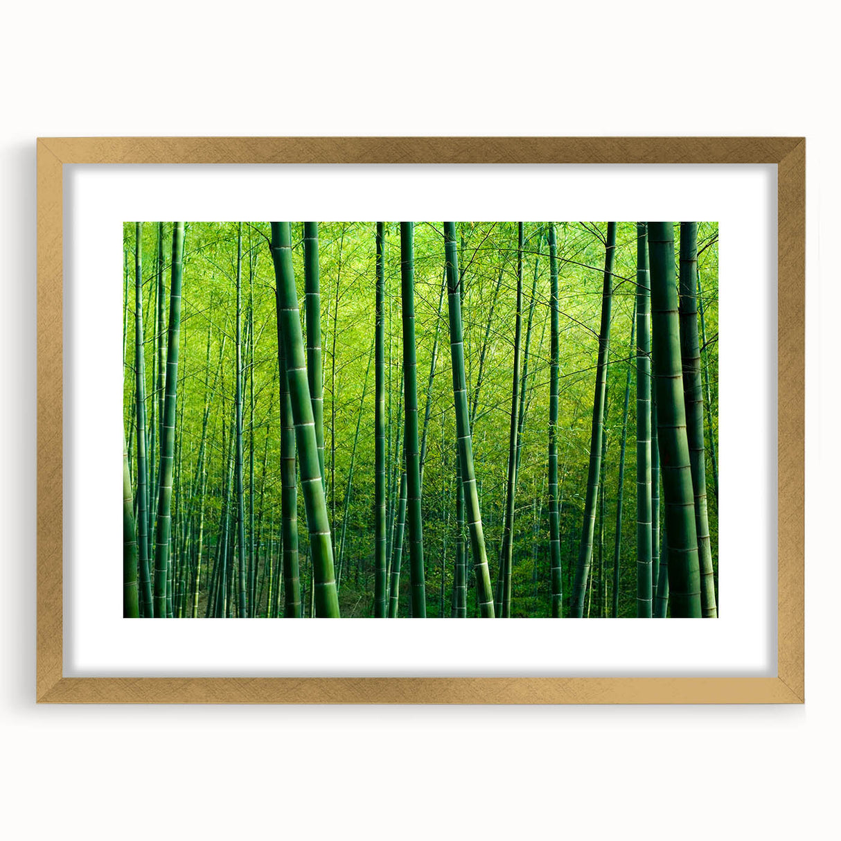 Botanical forest wall art design showcasing an intricate arrangement of flowers and trees, framed in gold with a matte finish, perfect for home decor.