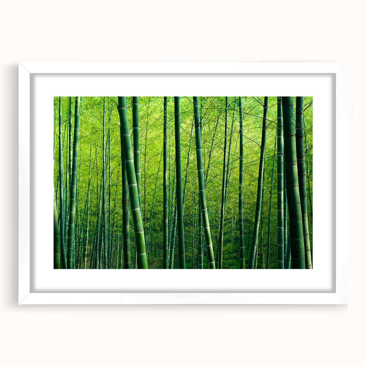 Botanical forest wall art collection featuring a vibrant floral design with intricate tree motifs, framed in white with a mat, perfect for home decor enhancement.