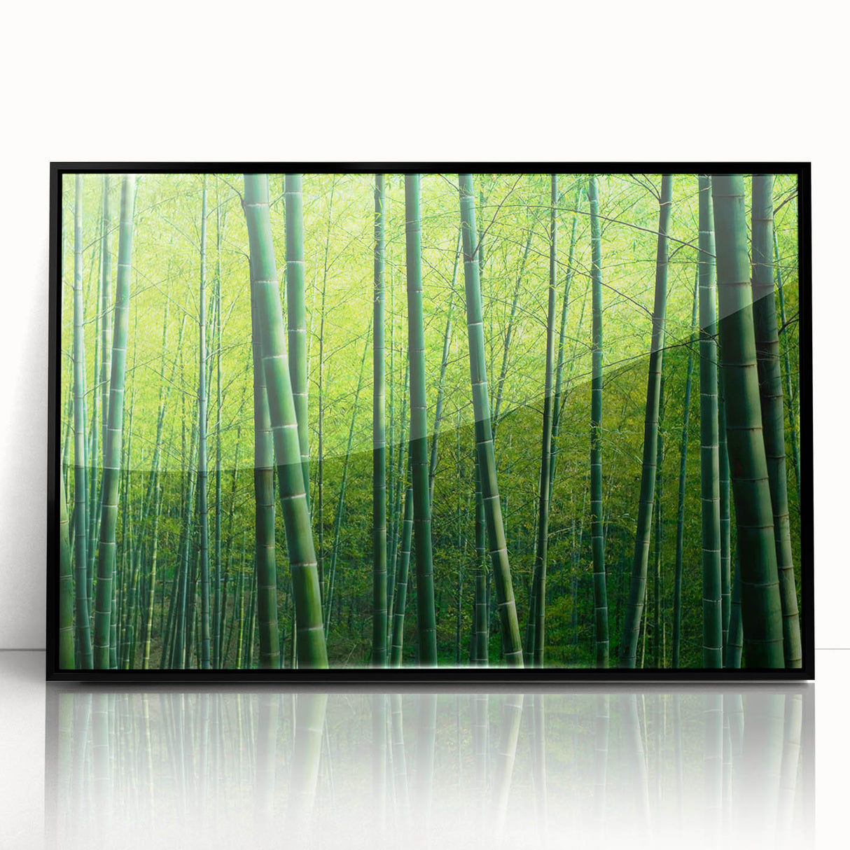 Framed wall art collection depicting a botanical design of flowers and trees in a black frame, showcasing vibrant colors and intricate details, perfect for home decor.