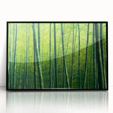 Framed wall art collection depicting a botanical design of flowers and trees in a black frame, showcasing vibrant colors and intricate details, perfect for home decor.