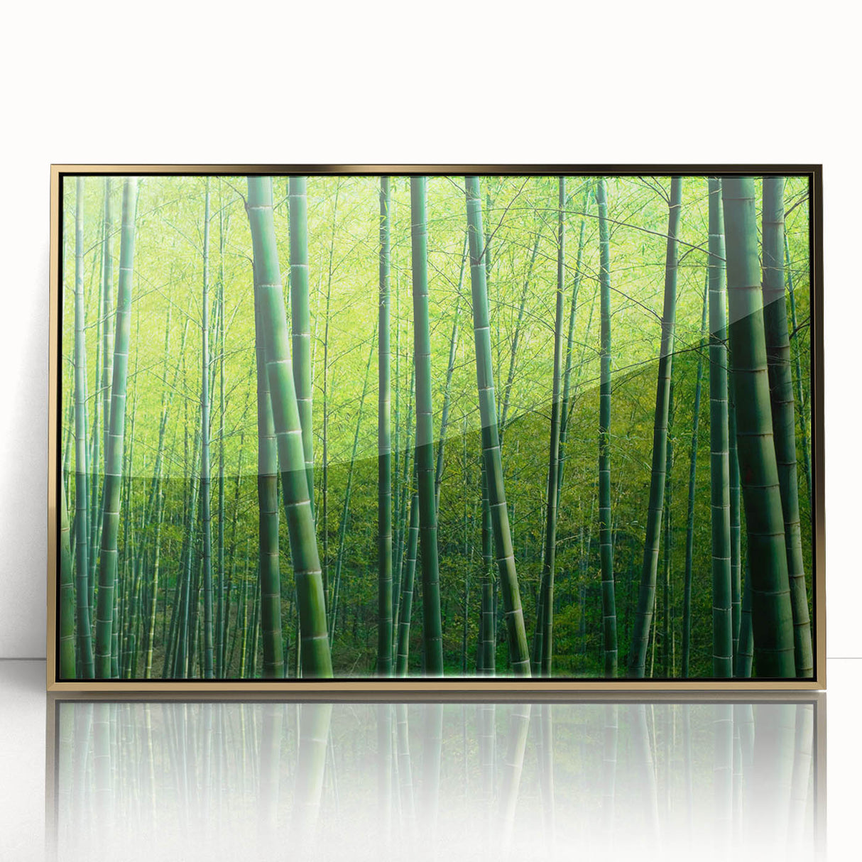 Framed wall art featuring a botanical forest design with vibrant flowers and trees, highlighted with a gold acrylic front, perfect for home decor.