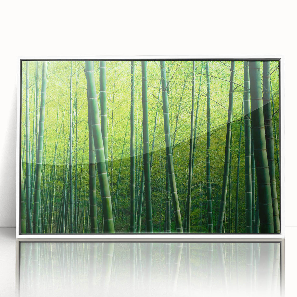 Framed wall art featuring a vibrant botanical forest design with colorful flowers and trees, showcased in a sleek white frame, ideal for home decor enhancement.
